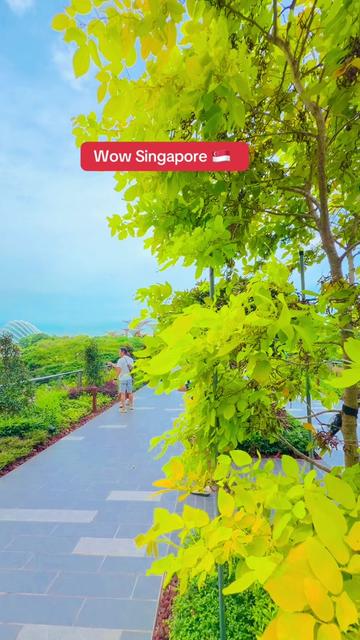 @HELLO SG🇸🇬
