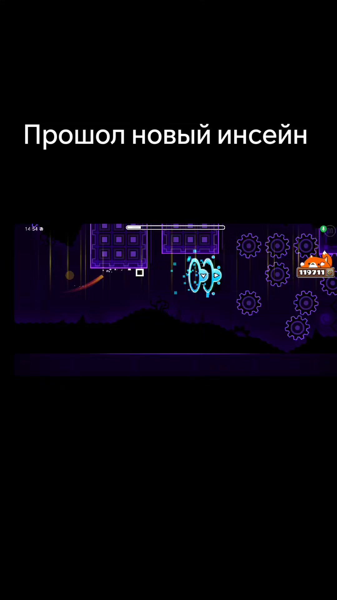 @кто любит свити Фокс