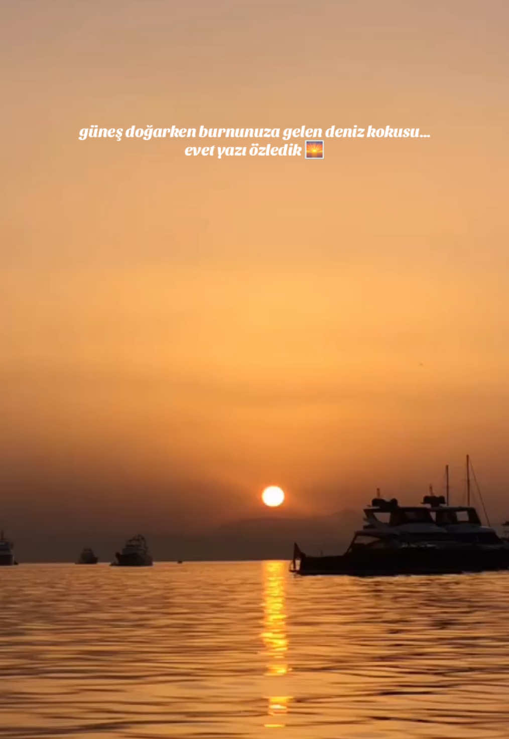@selindirella🪼🎠🌞📿🪩