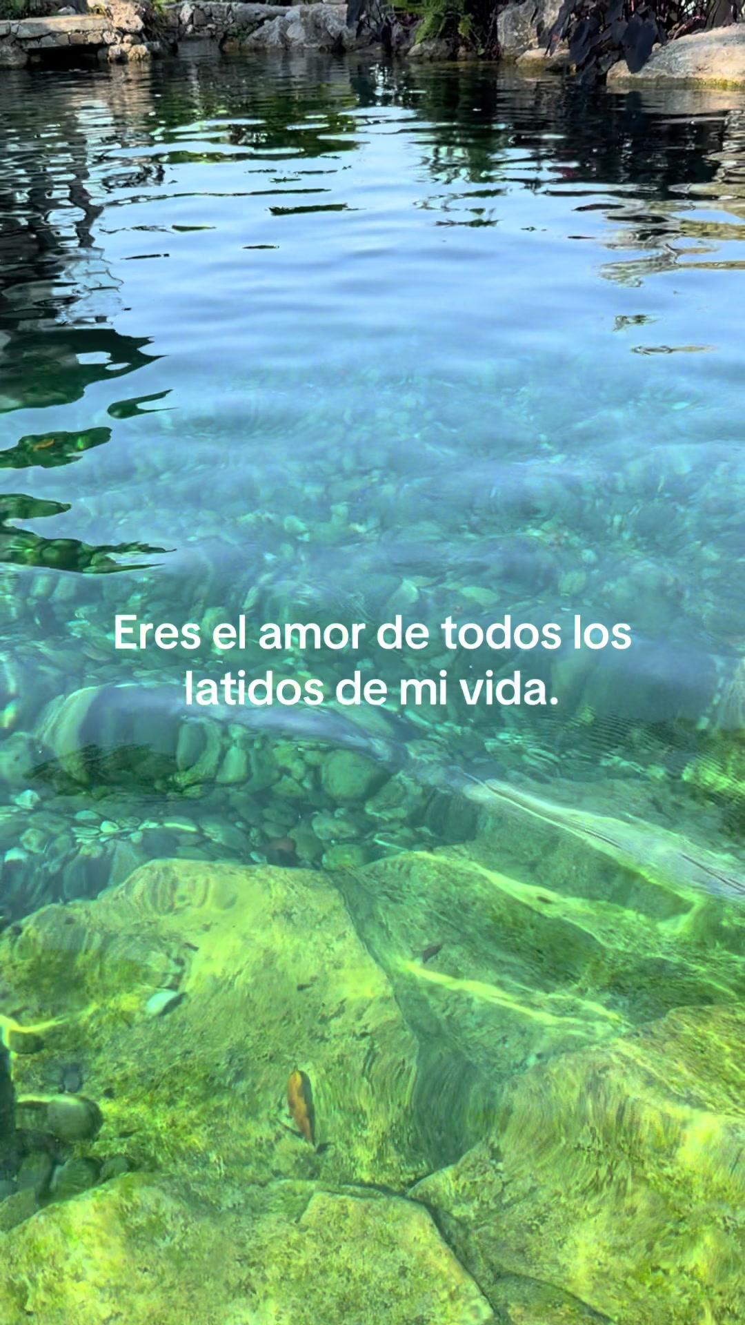 @Zulema AlMa