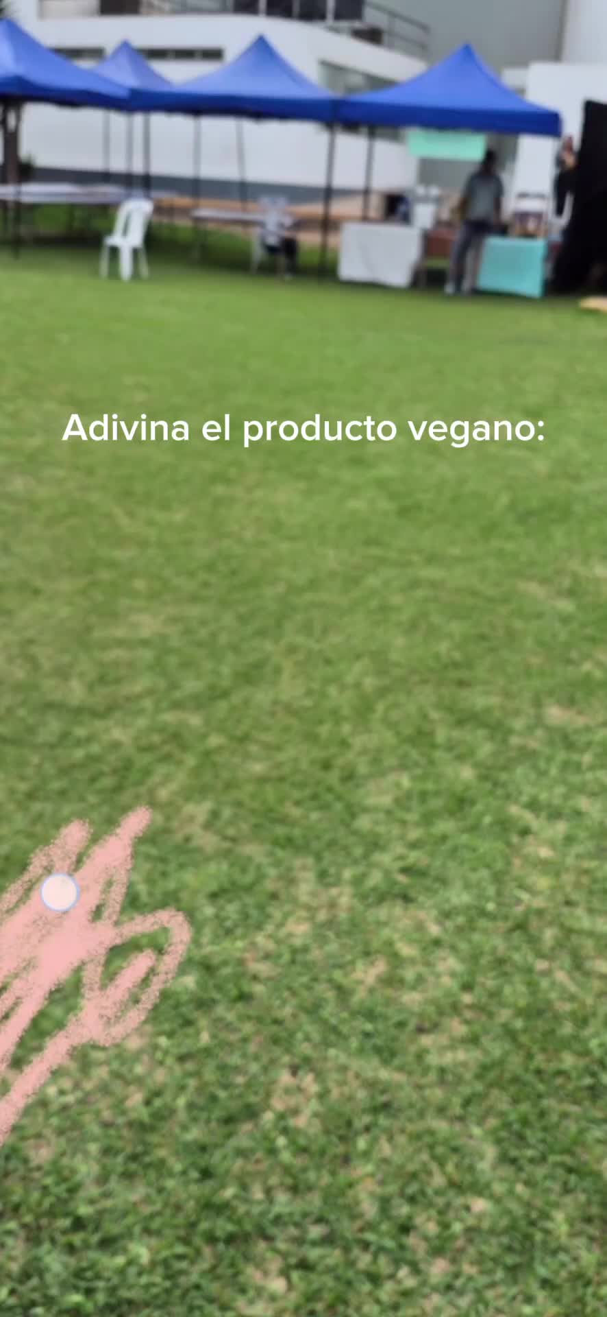 @V-Label Perú