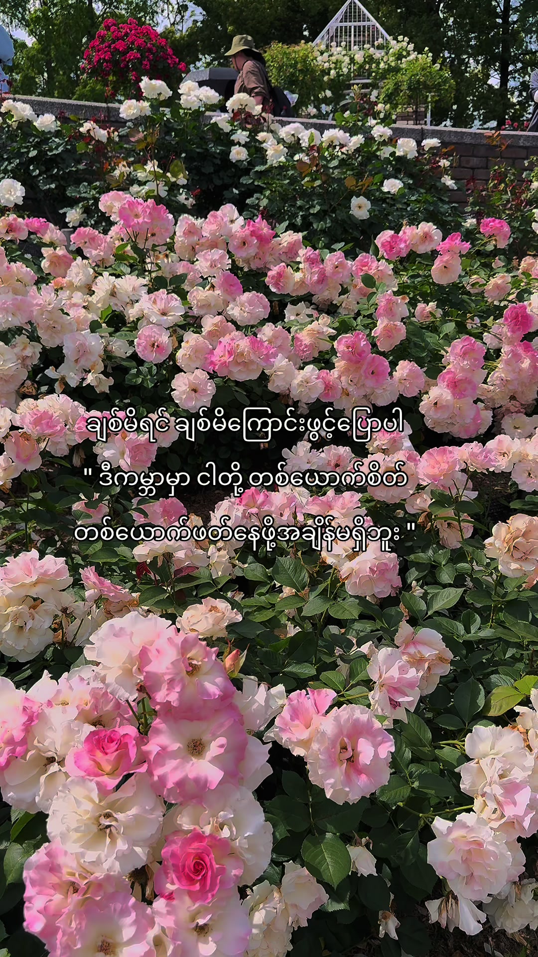 @𝙹𝚞𝚗𝚎 🖤