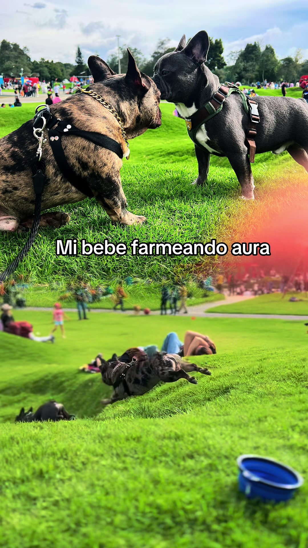 @🇻🇪nazaresota👸🏻🏹