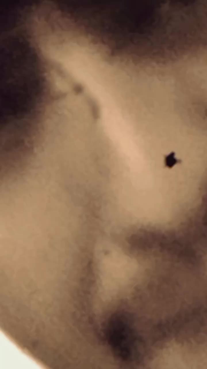 @ابو اليمامه