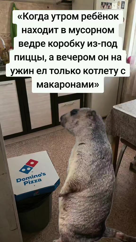 @𝖎𝖒𝖞𝖆 𝖒𝖓𝖊 𝖑𝖊𝖌𝖎𝖔𝖓