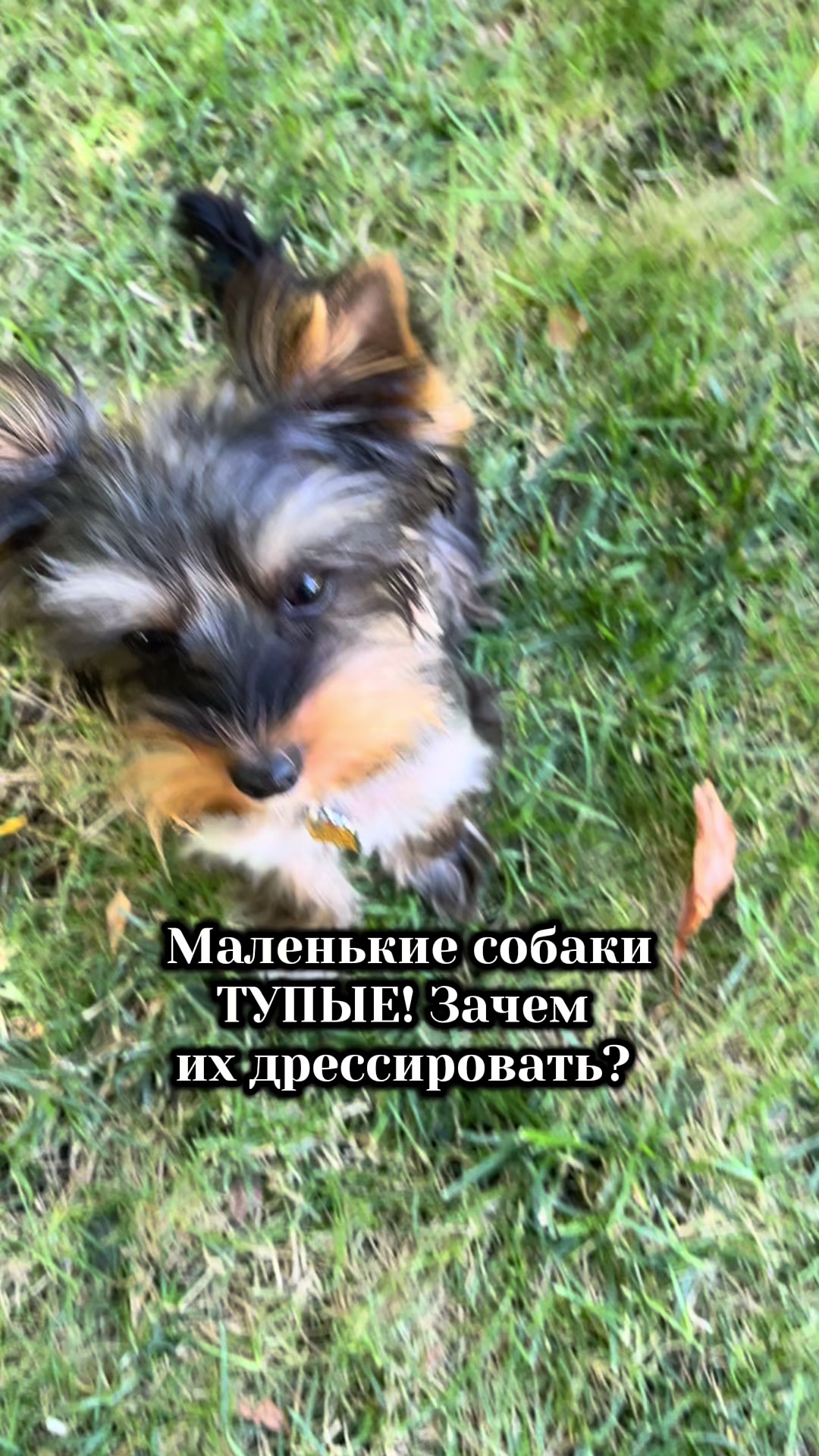 @twoi_kinolog