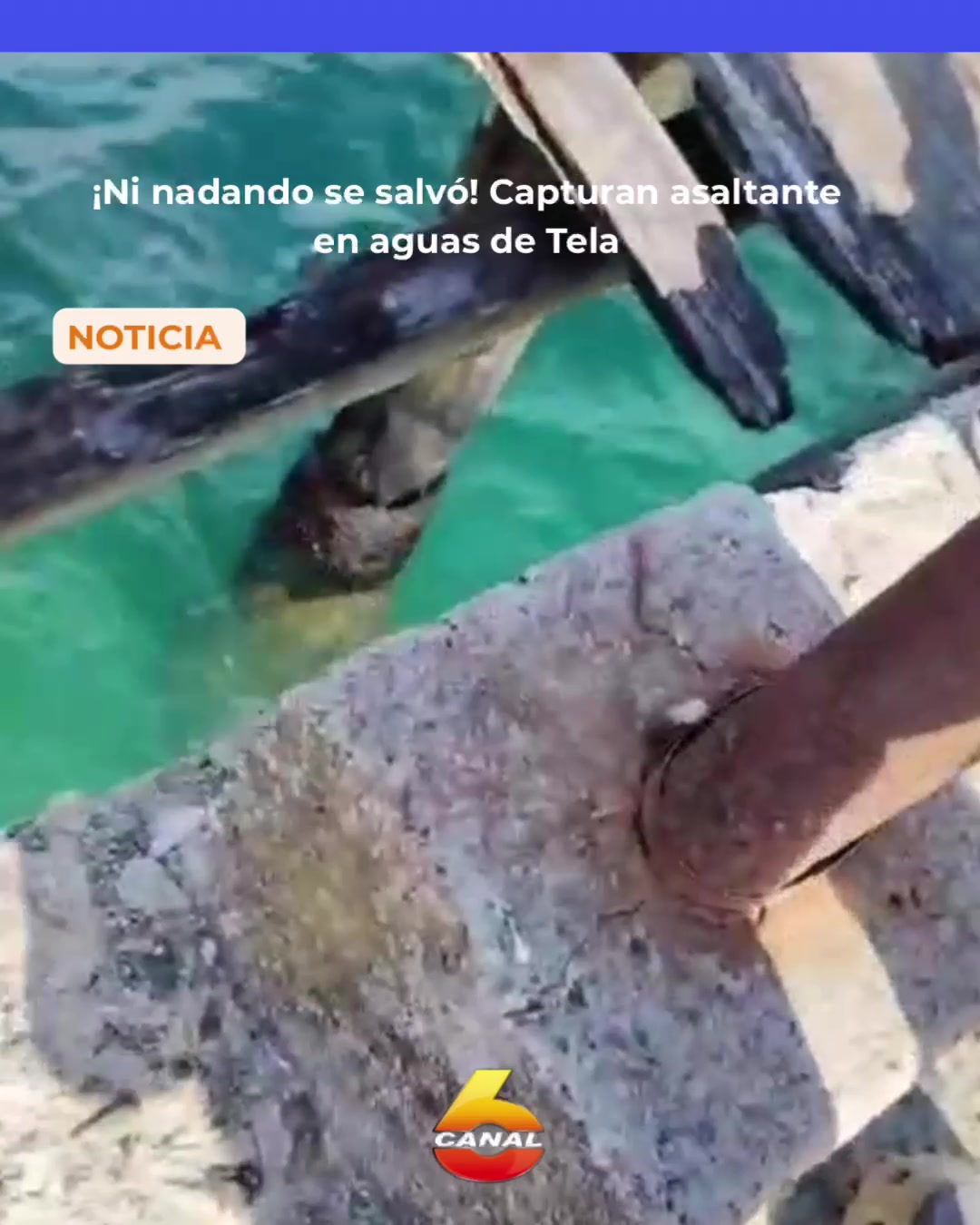 @Canal Seis Honduras