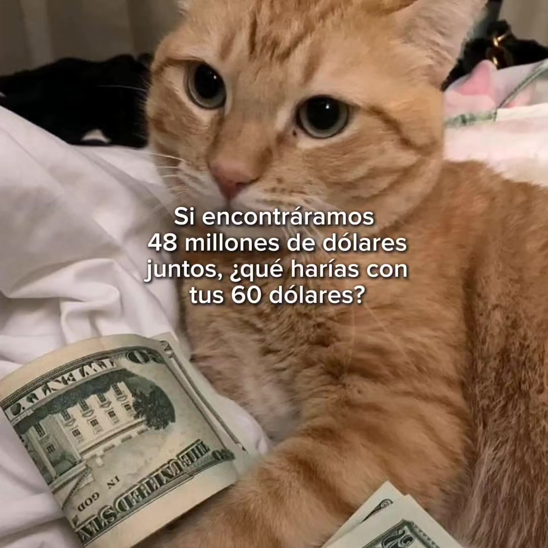 @goodvibessxd