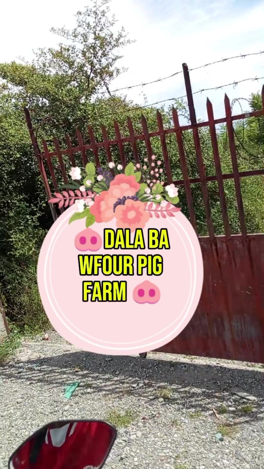 @W4 Pig Farm