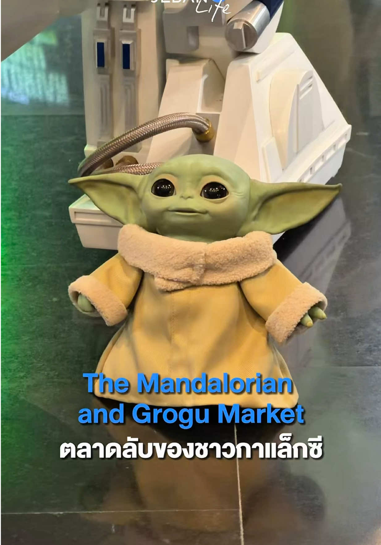 @Jebanofficial