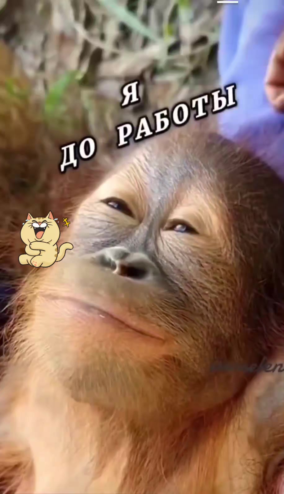 @🇷🇺★ℕ𝗘ℤ𝗔𝔹𝗨𝔻𝗞𝔸★🇷🇺