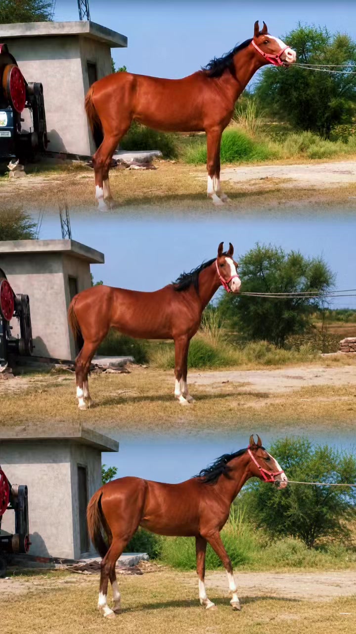 @hamara village sipyala🐴🐎🇵🇰