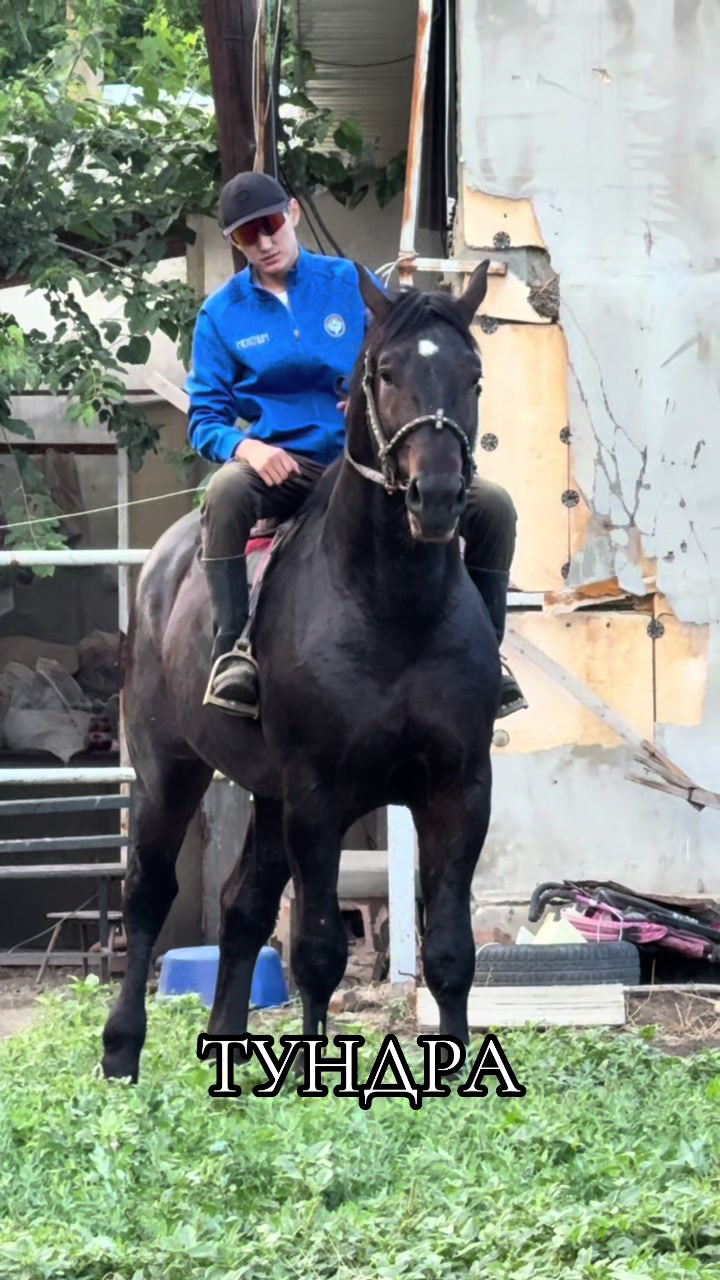 @abdykalykov_akylbek