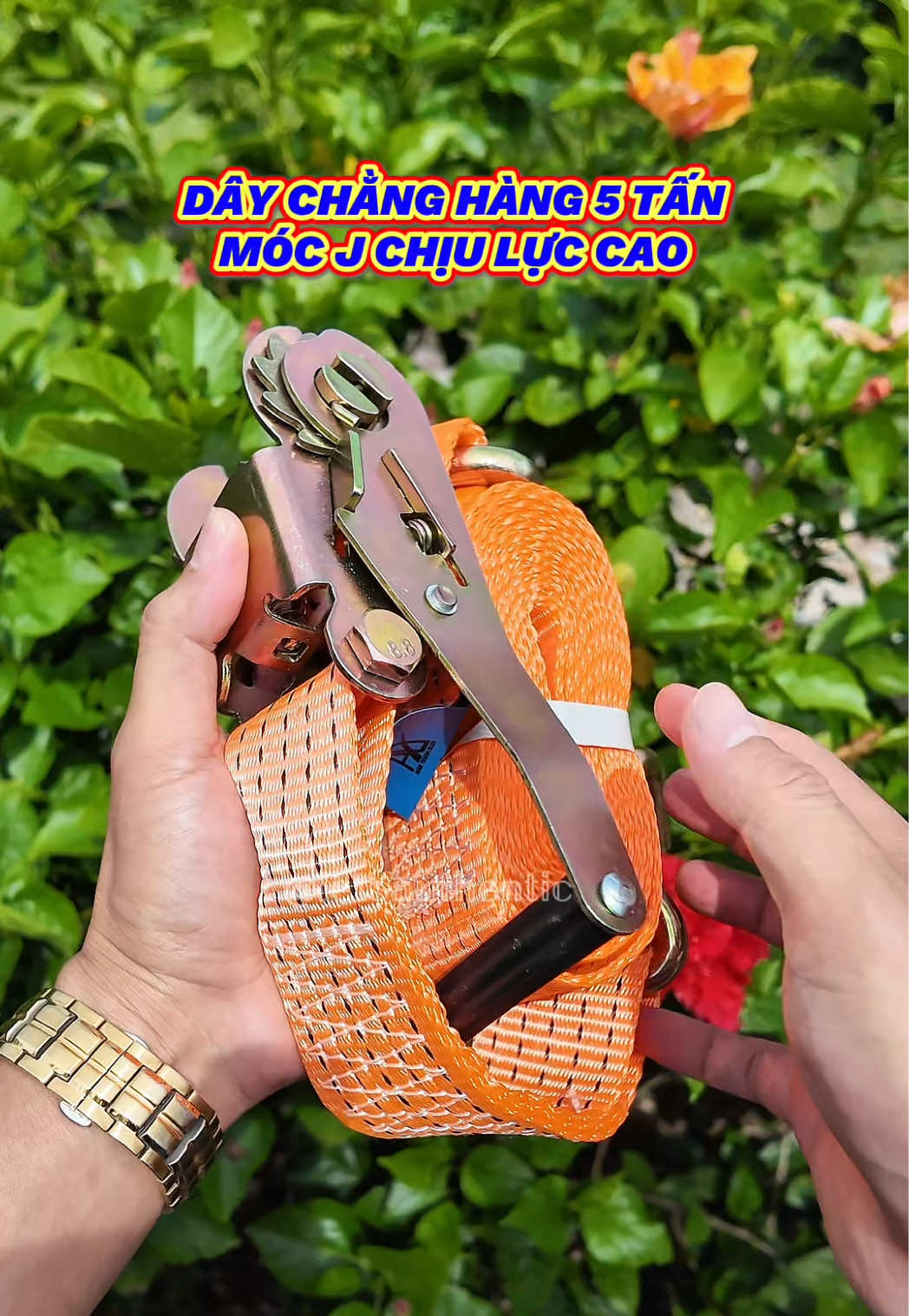 @𝕃𝔼𝕋’𝕊 𝔸𝕌𝕋ℍ𝔼ℕ𝕋𝕀ℂ