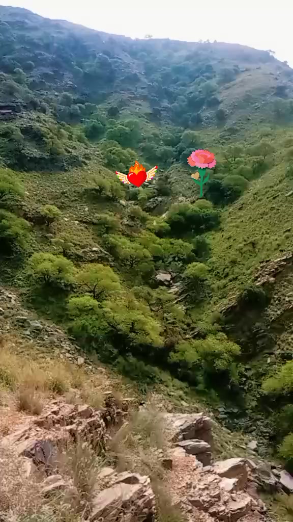 @🌹🌹❤️❤️❤️🌹🌹