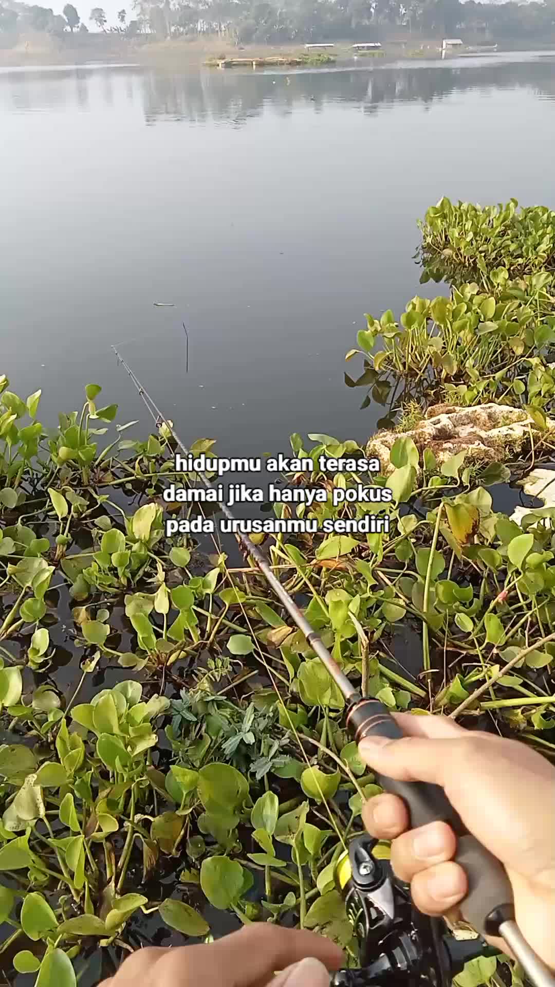 @aly💨