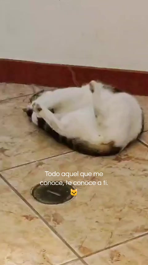@Ingrid Salcedo