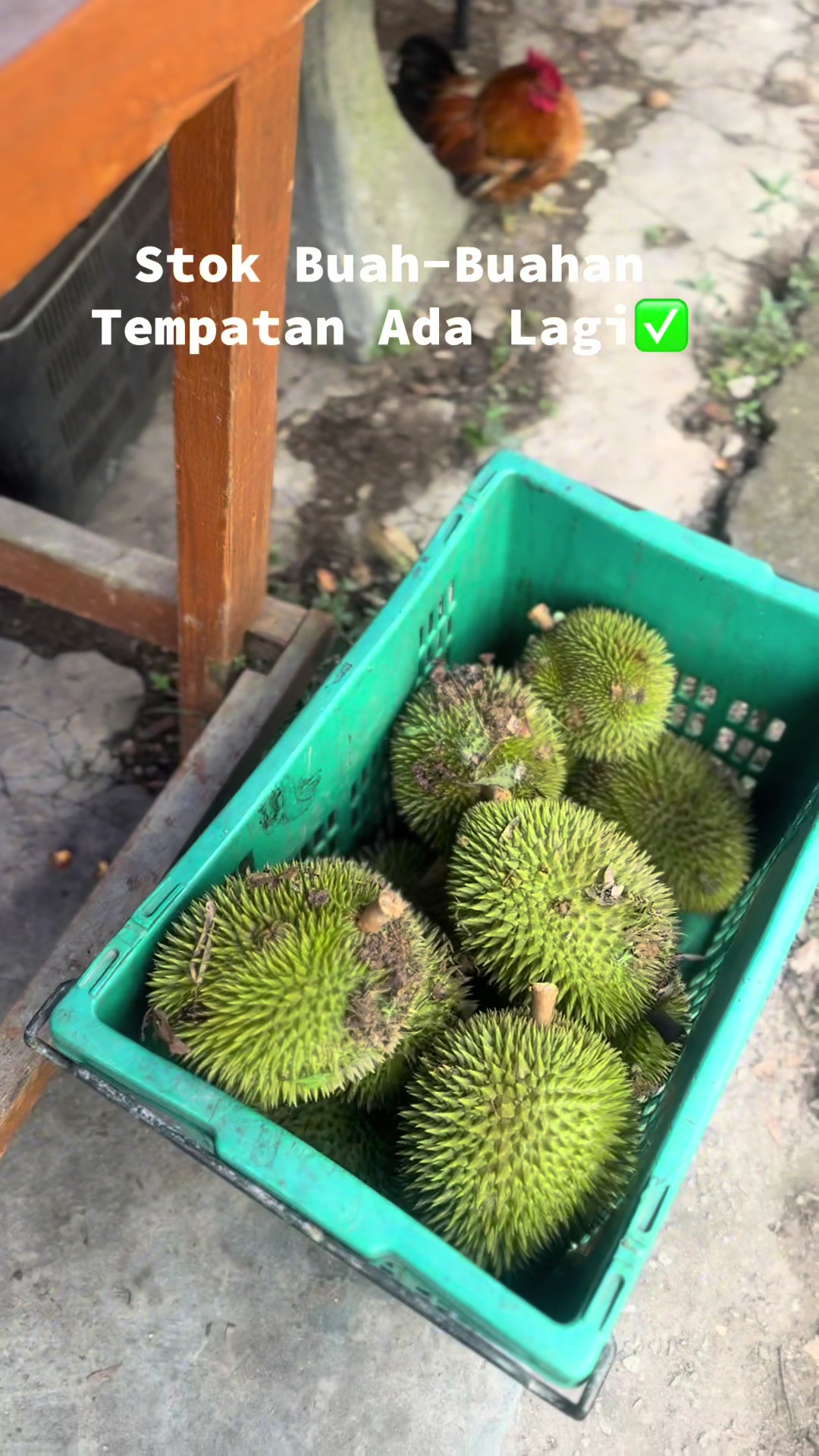 @Kerepek Pisang