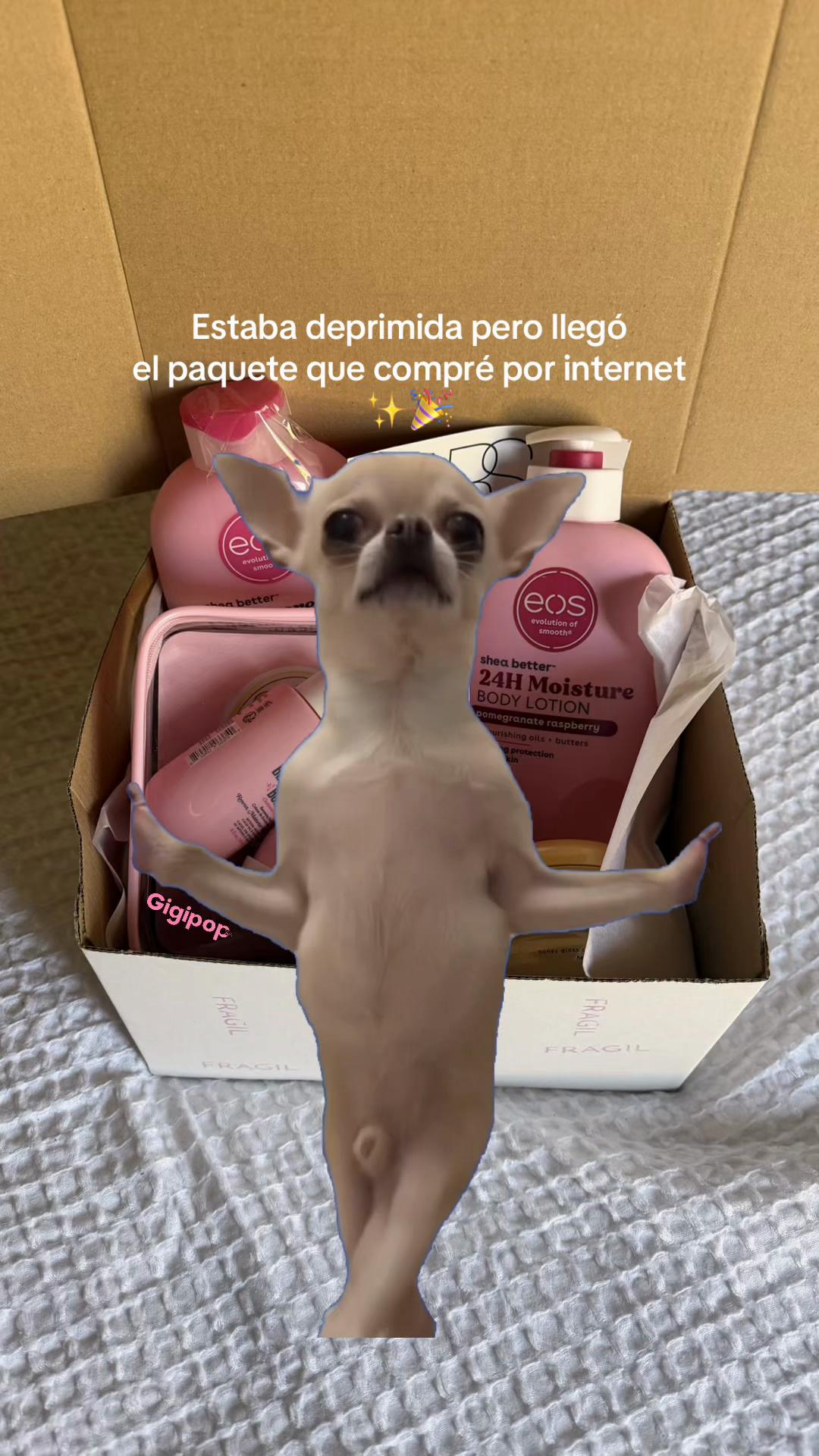 @Gigipop.gt