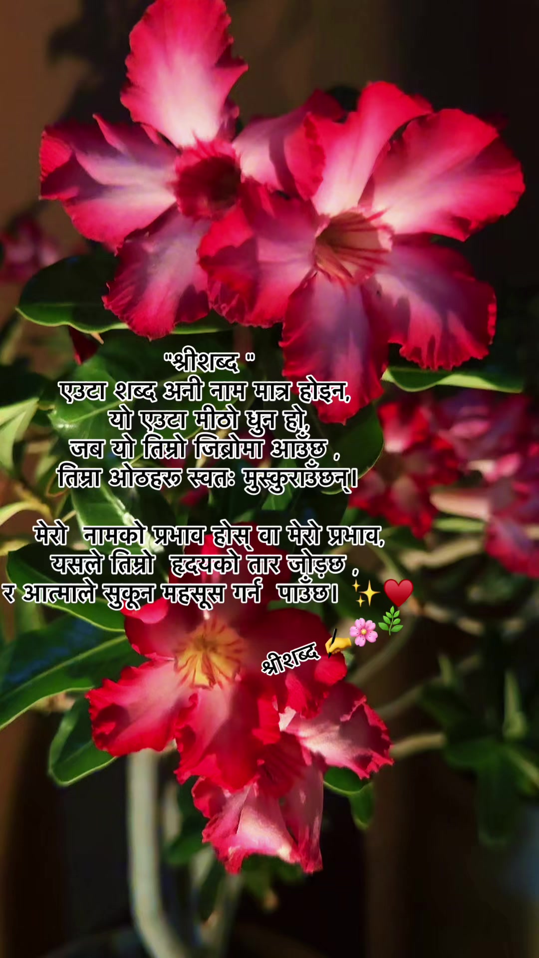 @🌿श्रीशब्द&hellip;.✍️🕊️🍁🍂