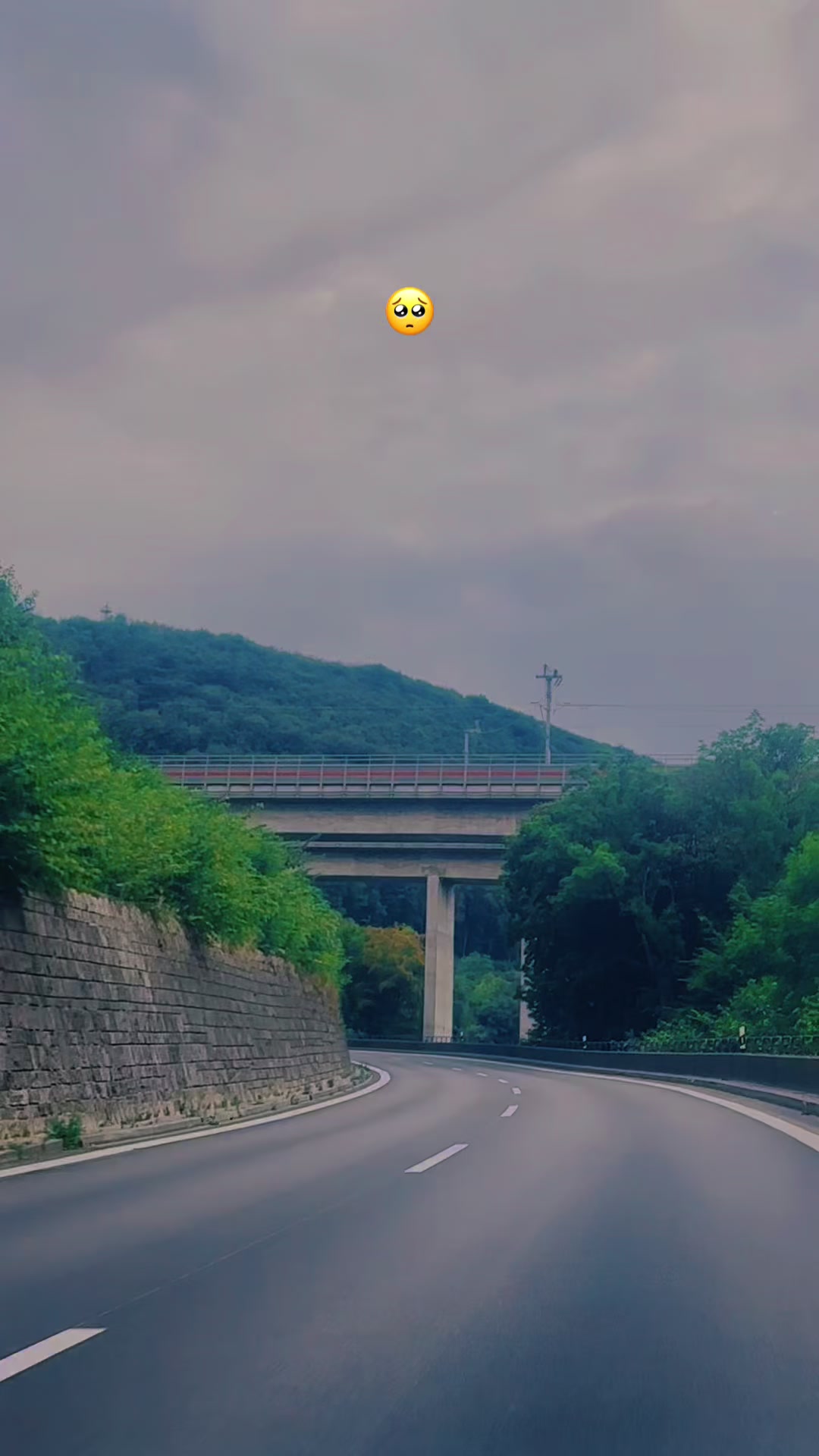 @ᒃ♪♬Kulîlka Efrînê✿◡‿◡