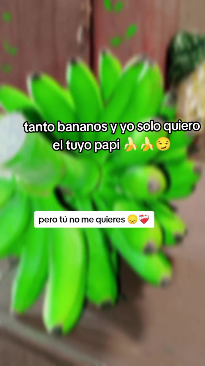 @🔥🎃>ƈҽʅσʂιƚα<🦴🎃