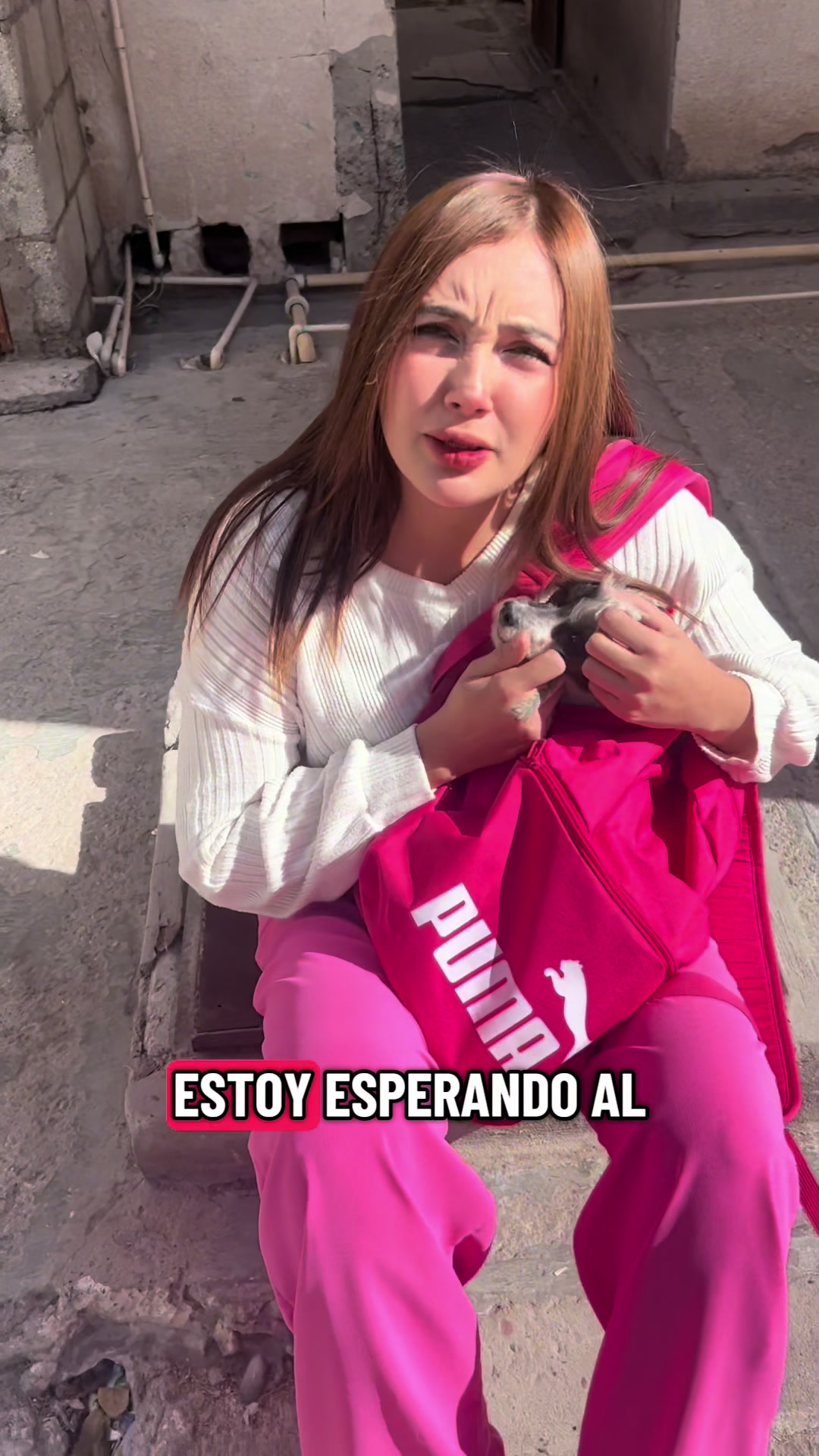 @carmycarmytrc