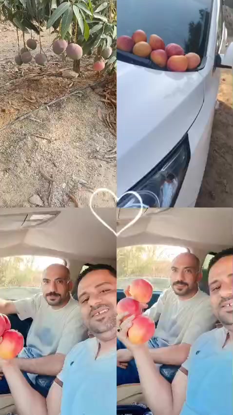 @احمد عمر