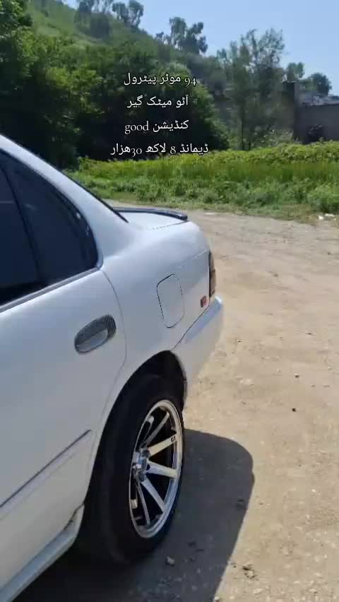 @ncpcarlover1