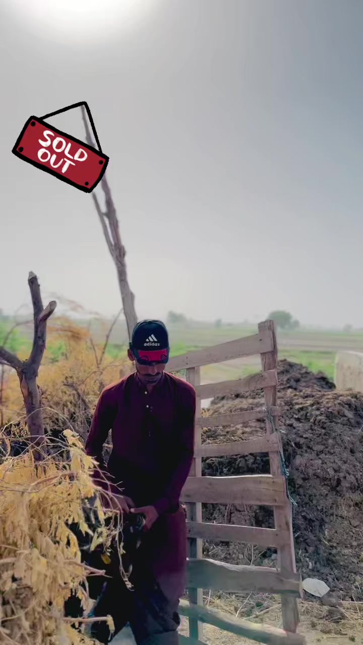 @✨.زاهد سولنگي واپاري. 🐐