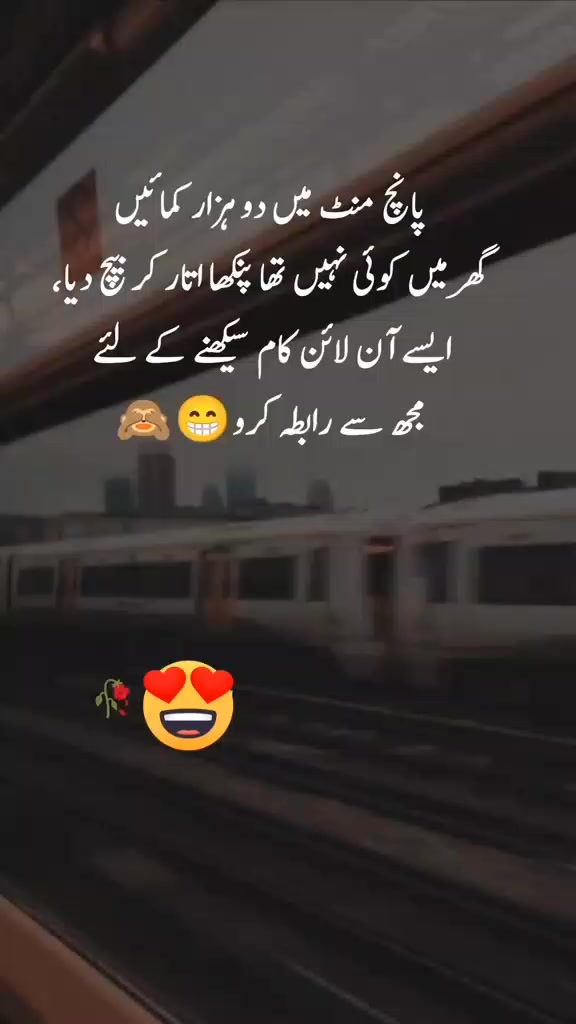 @Zidi SHah