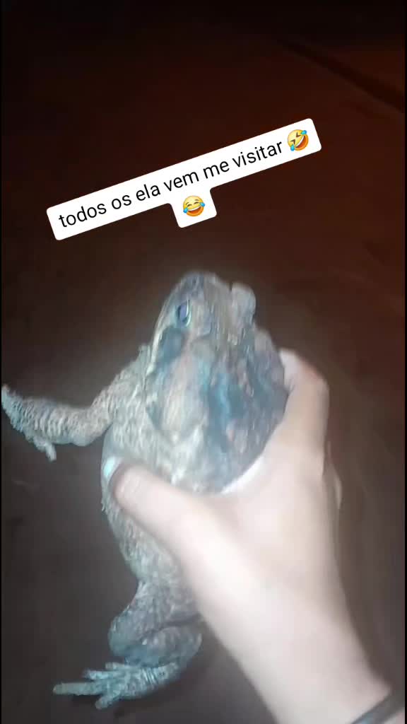 @fim