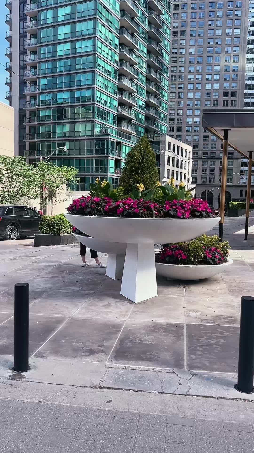 @Ahmed 🇨🇦