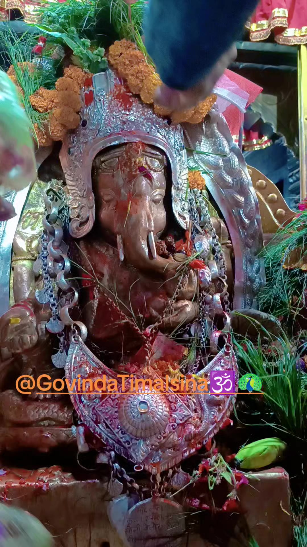 @Govinda Timalsina🕉🦚