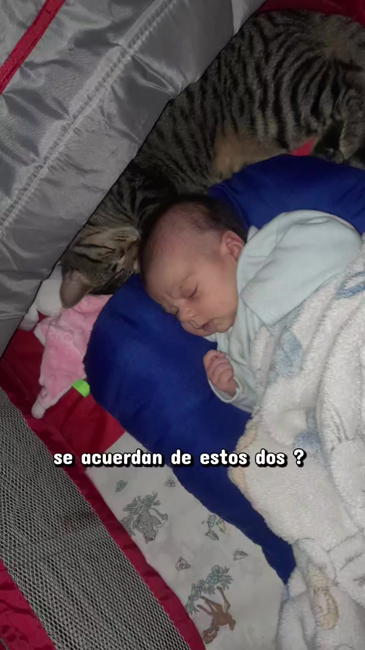 @labbtoxic