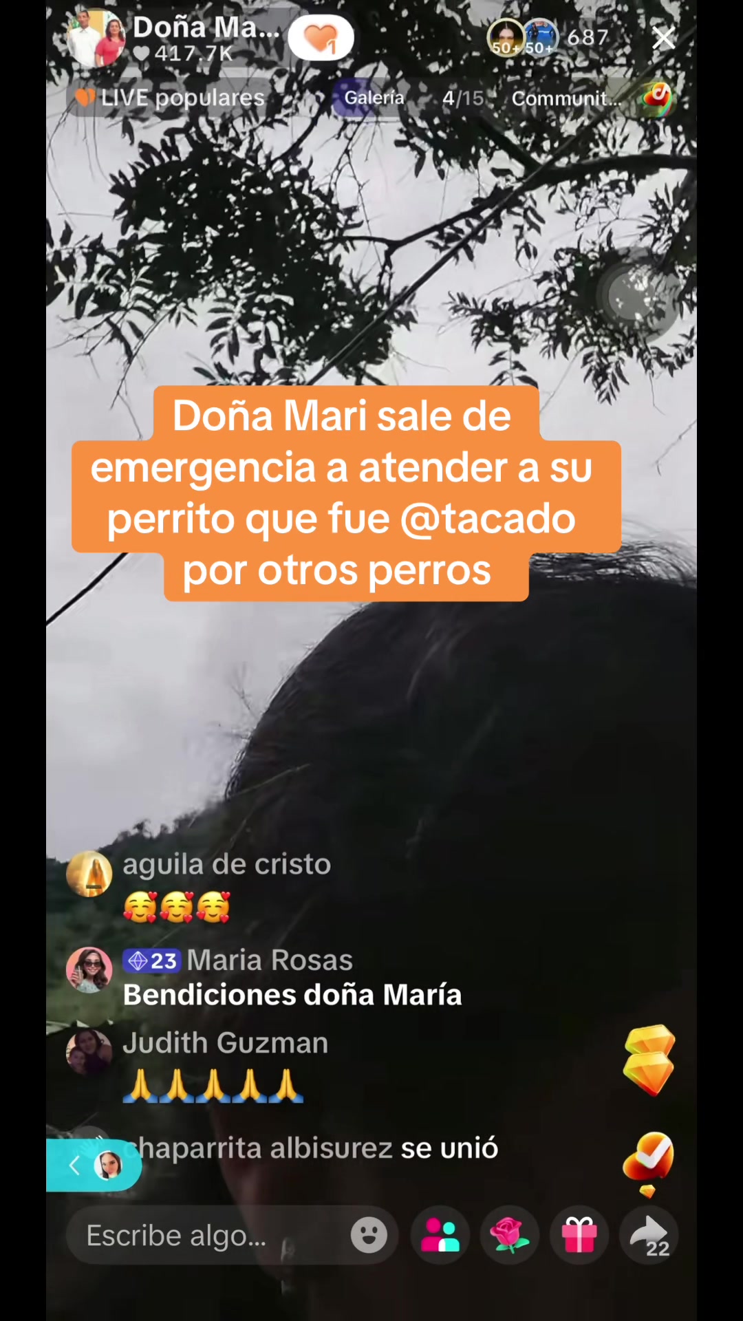 @Taína🧚🏻