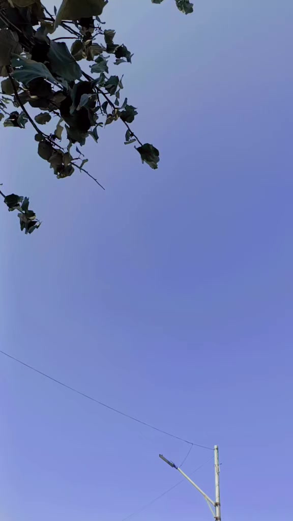 @Prakriti Yadav