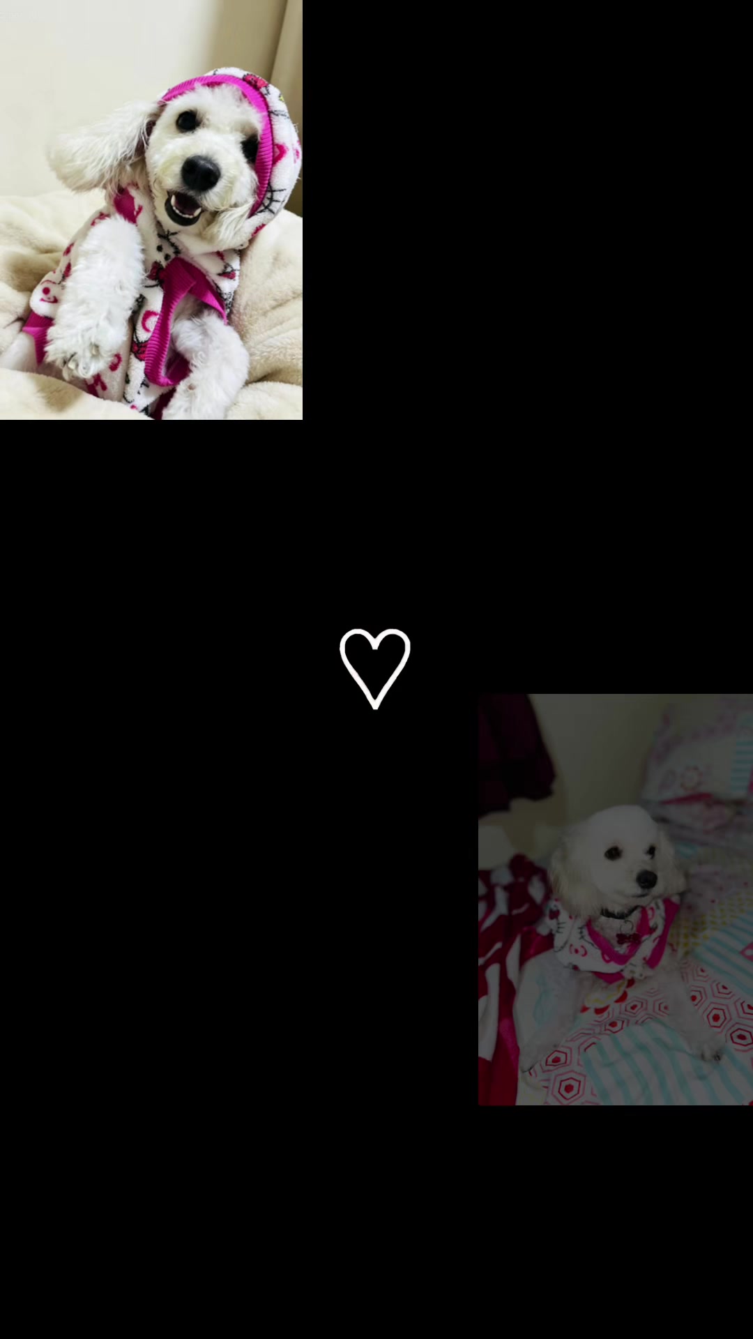 @Yaii ❤️