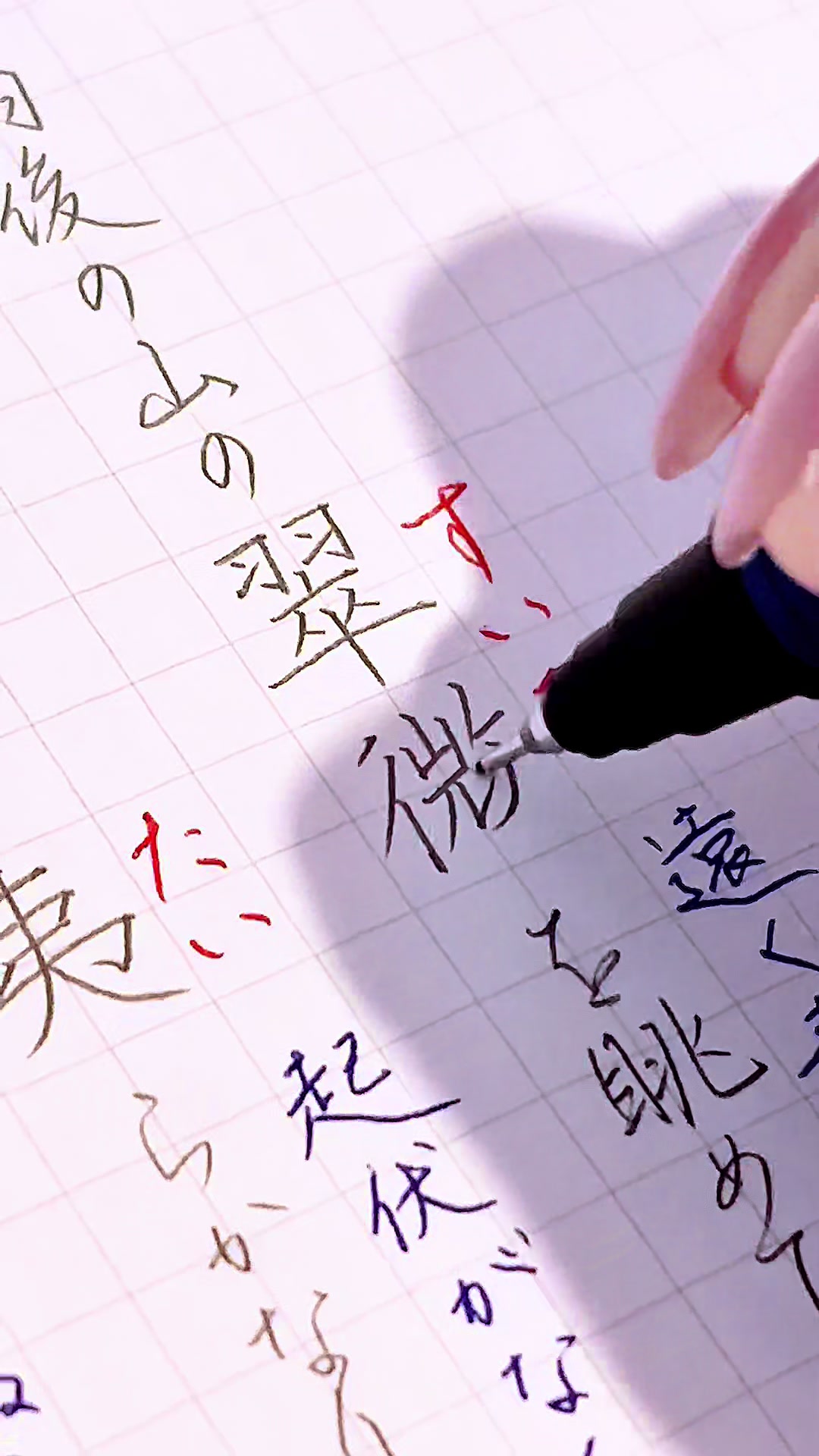 @茉 莉