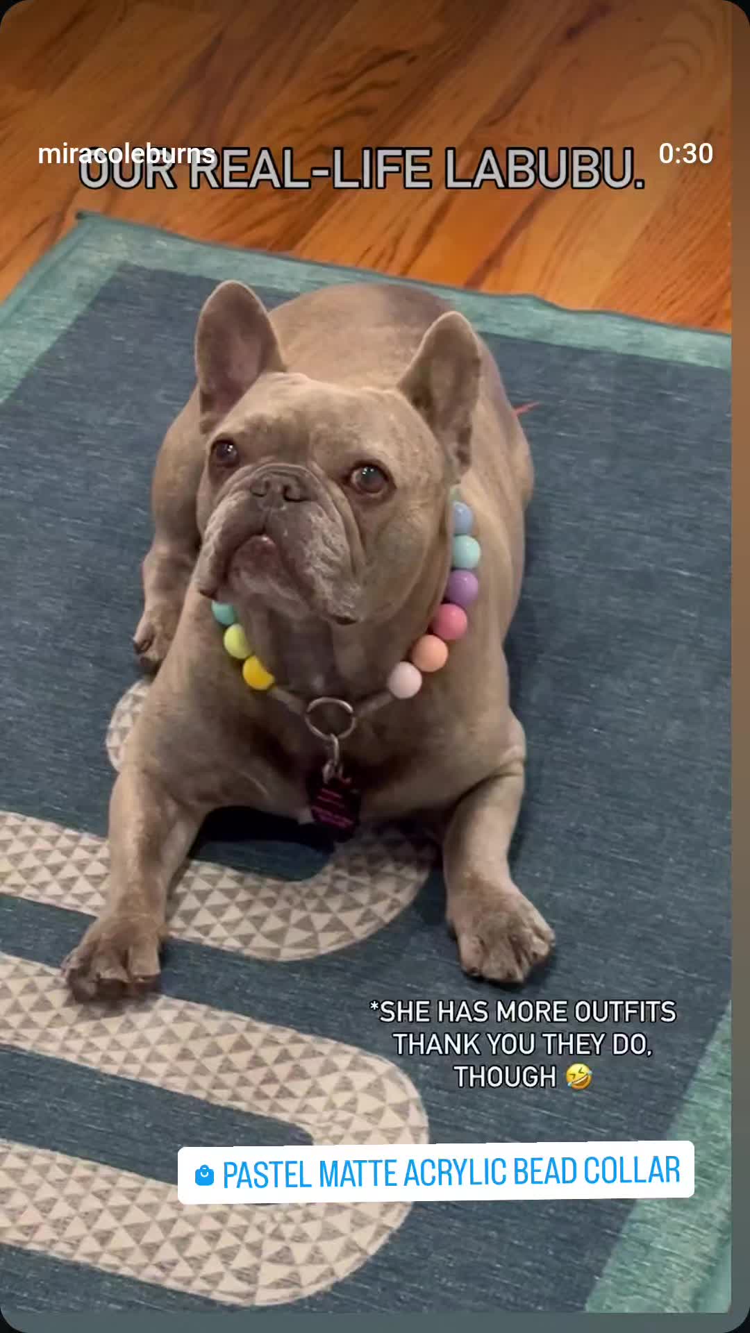 @Beadie Babiez Collar Shop