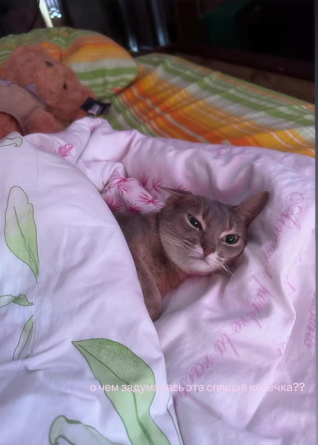 @🐈⬛