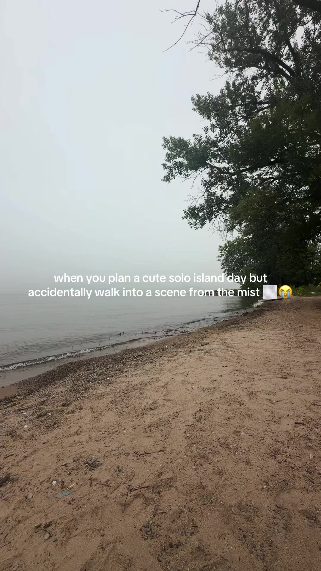 @livininsync