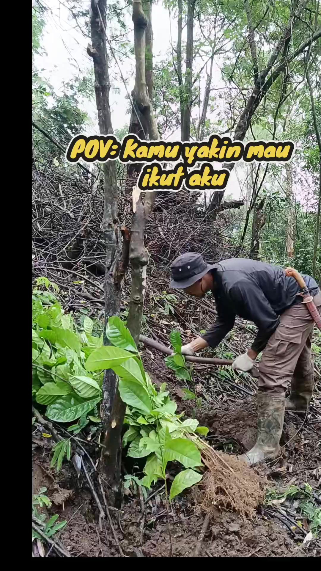 @kopi HD