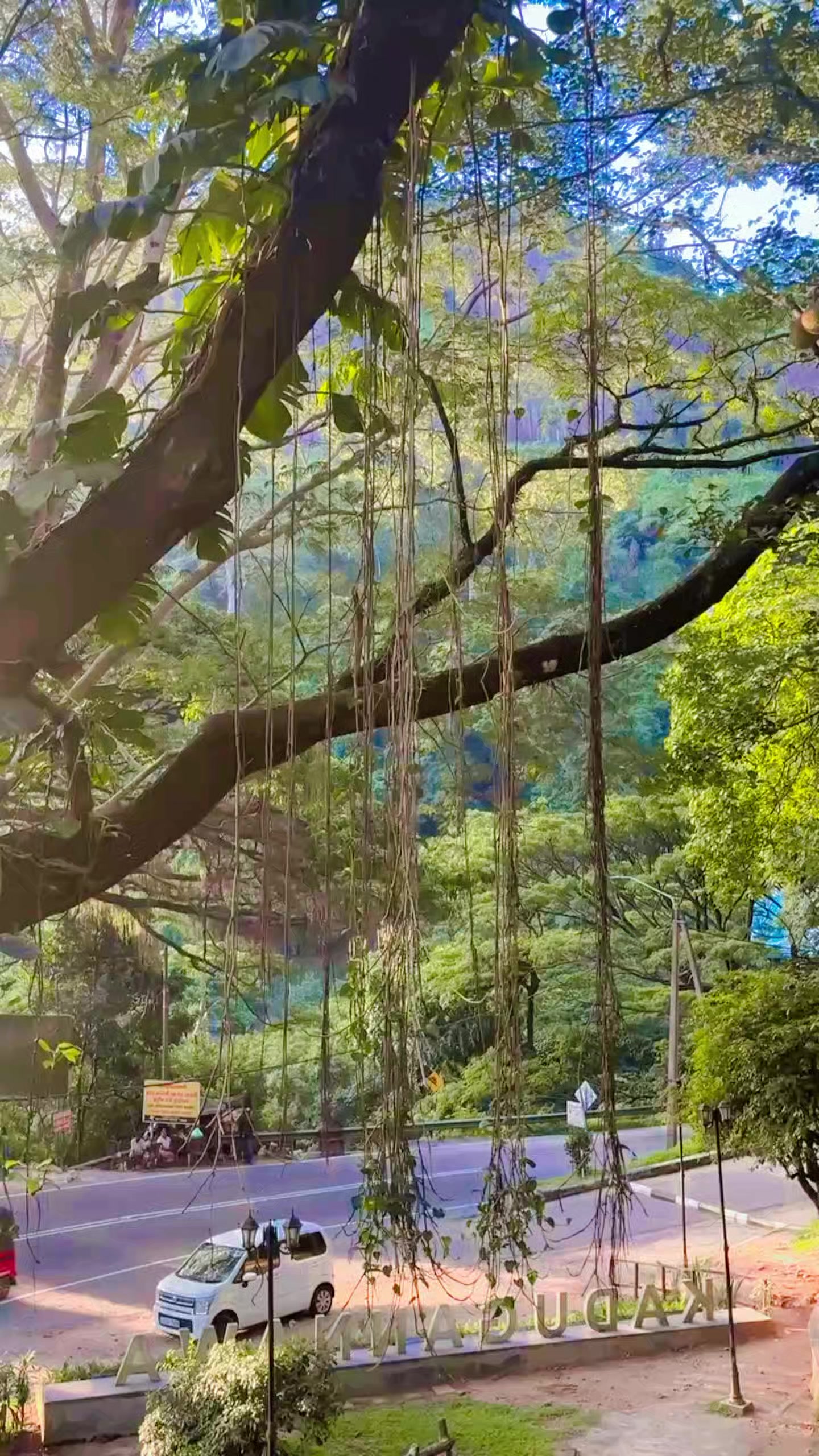 @shihara1230