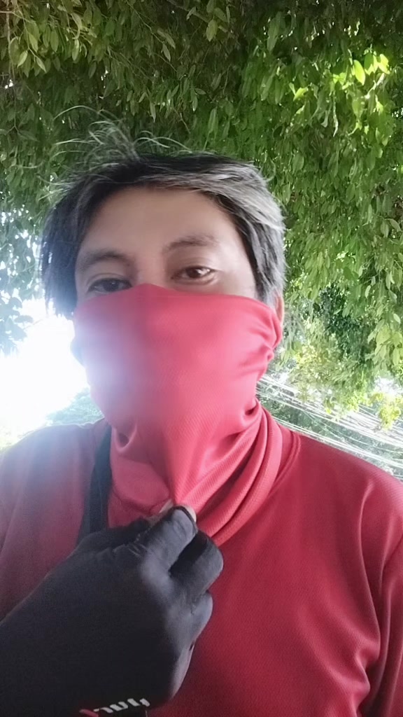 @dindologmao