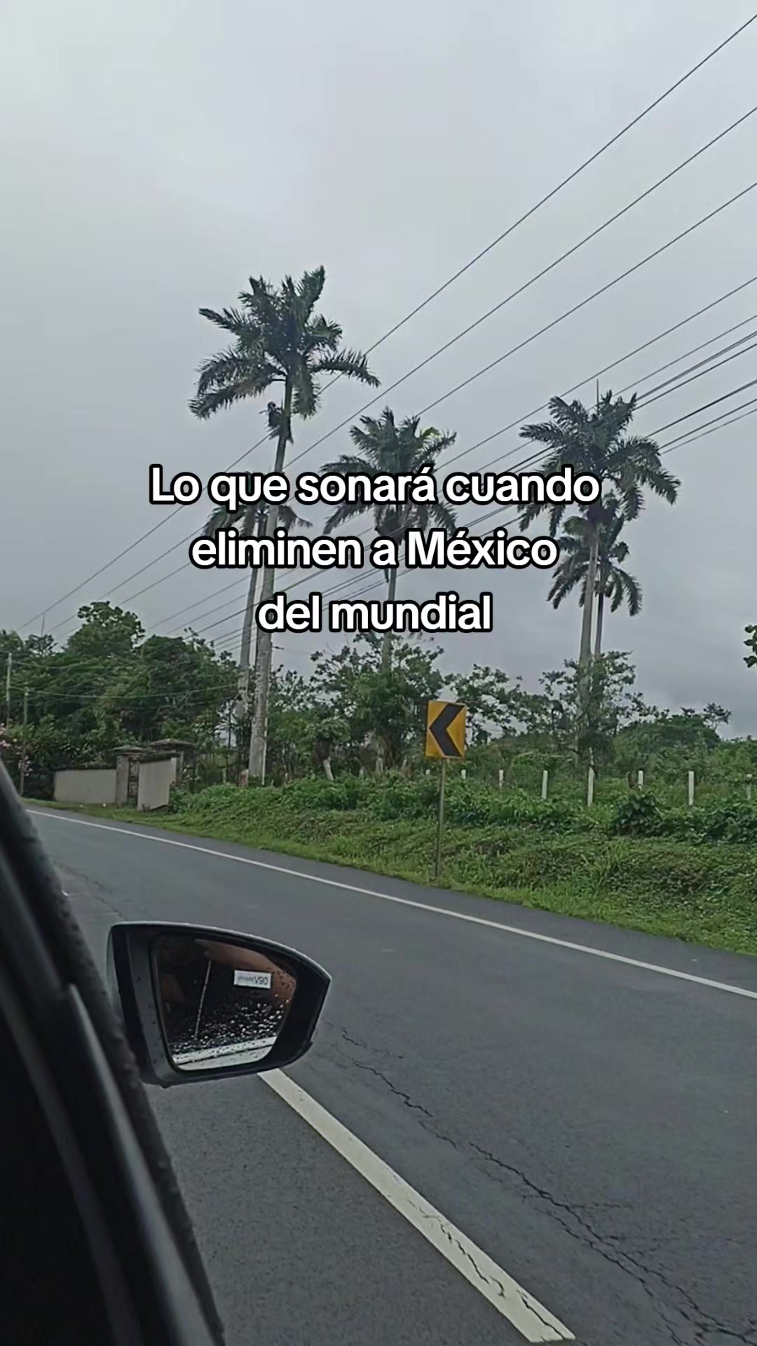@Fan de One Piece