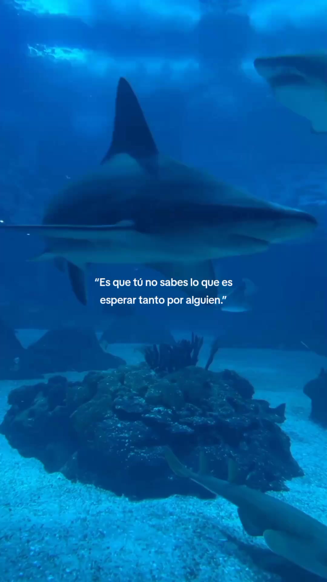 @Mariana