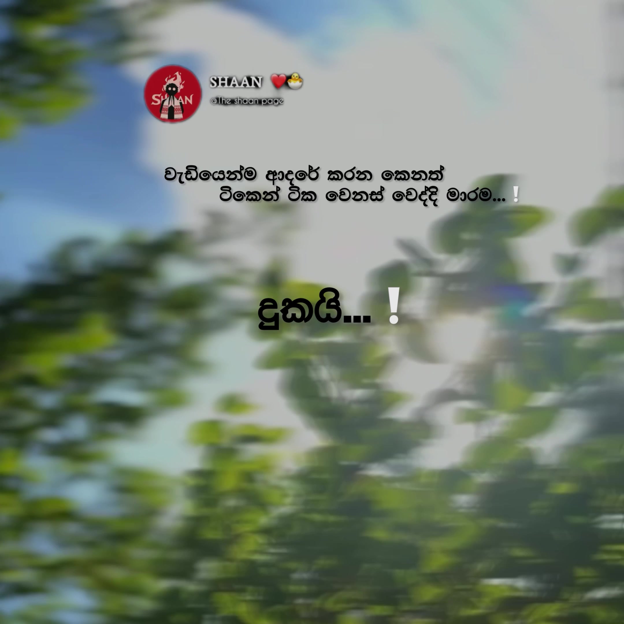 @๐ป๐๐_๐บ๐๐๐๐ ๐"
