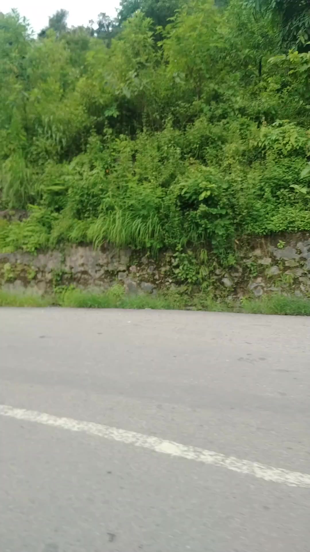 @D.B. Karki