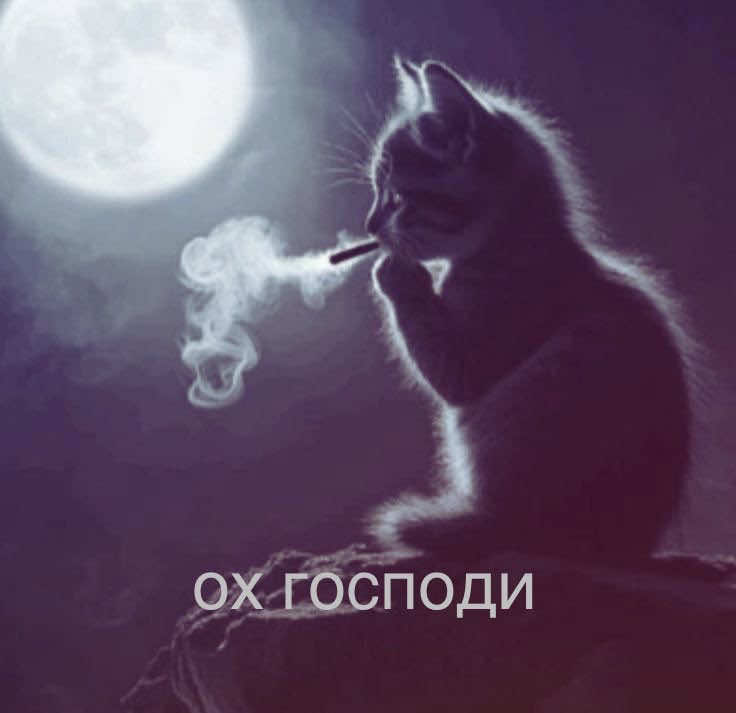@BLADZER🪷